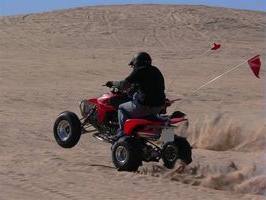 خطة أعمال تأجير ATV