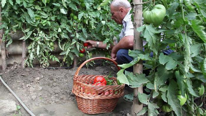 قانون الفلاحين لدعم الزراعة