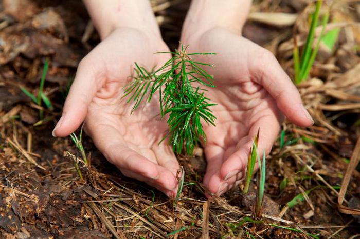 droit de l'environnement