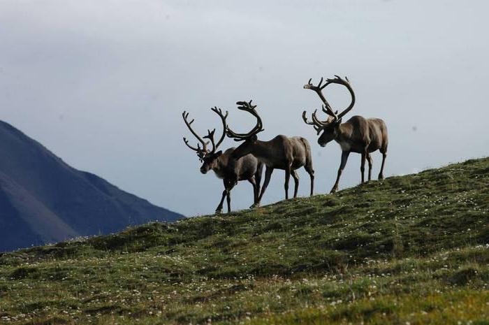 droit fédéral de l'environnement