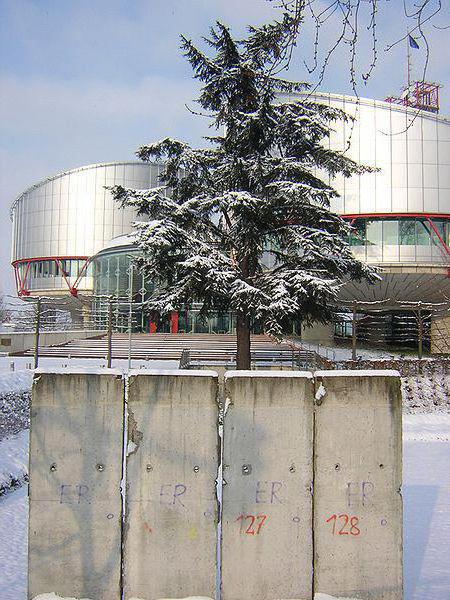 قاض ECHR من روسيا