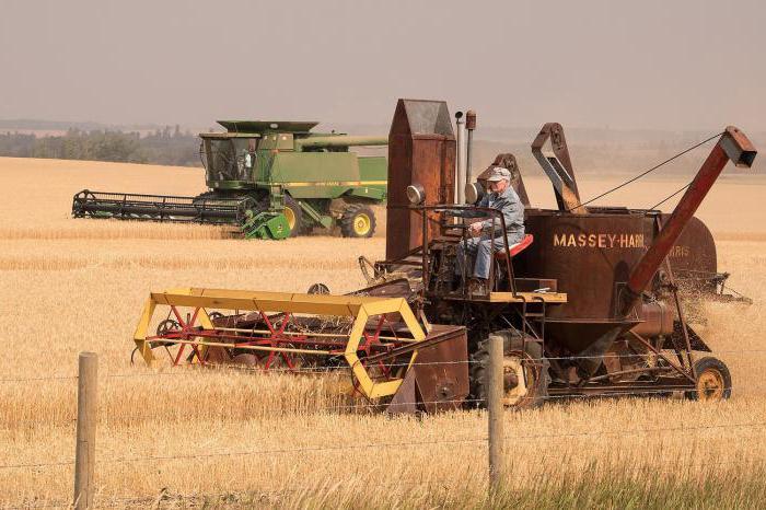 التنمية المكثفة واسعة النطاق.