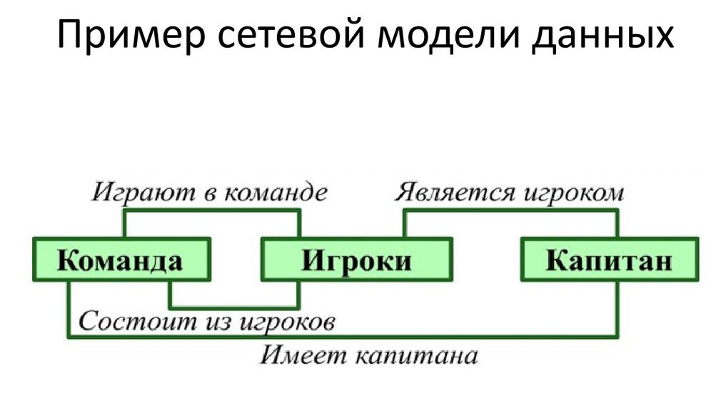 شكل شبكة المنظمة