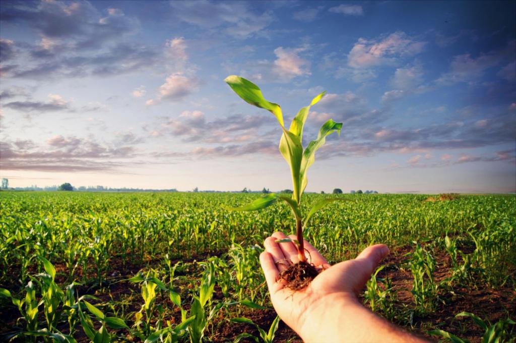 طرق التنمية الزراعية