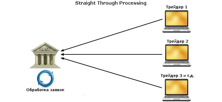 الدائرة stp